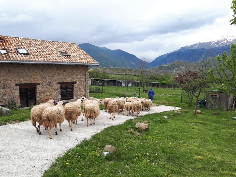 Albergue A'Noguera Castiello de Jaca Ngoại thất bức ảnh